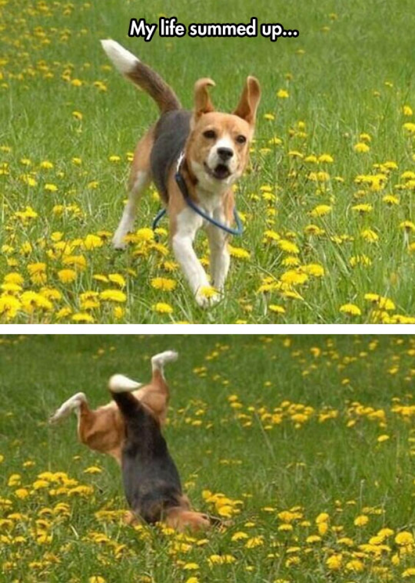 Whenever I Try To Do Anything
