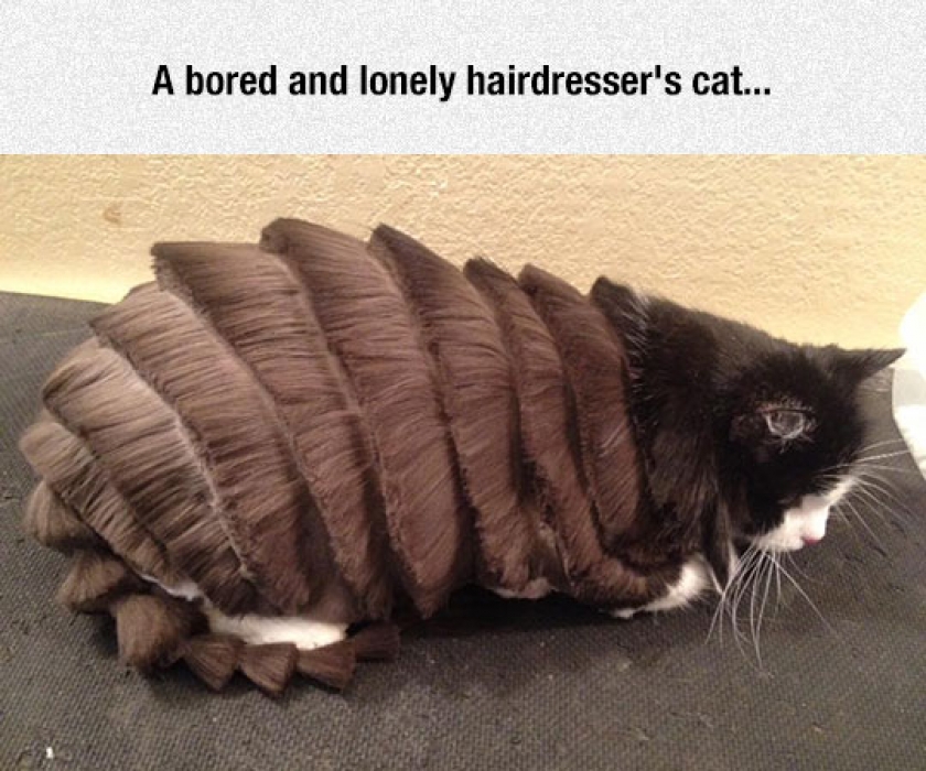 When Hairdressers Get Bored