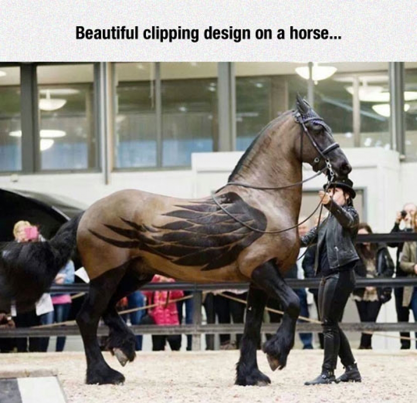 Fantastic Clipping Work