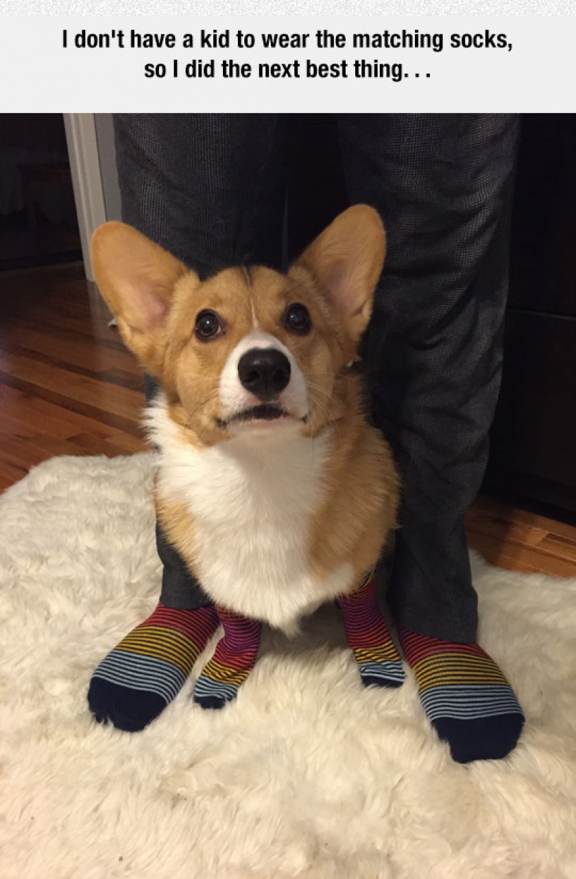 Matching Socks