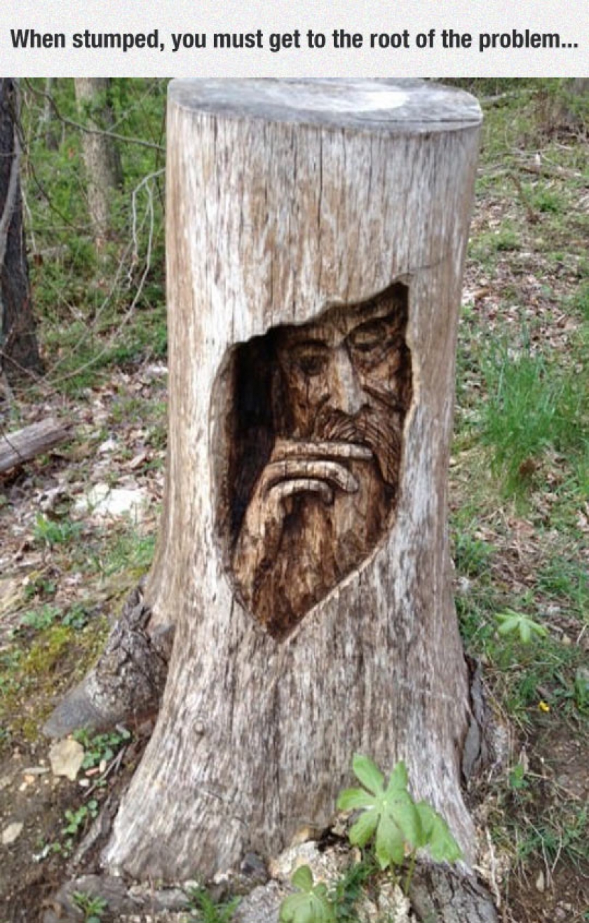 Root Of The Problem