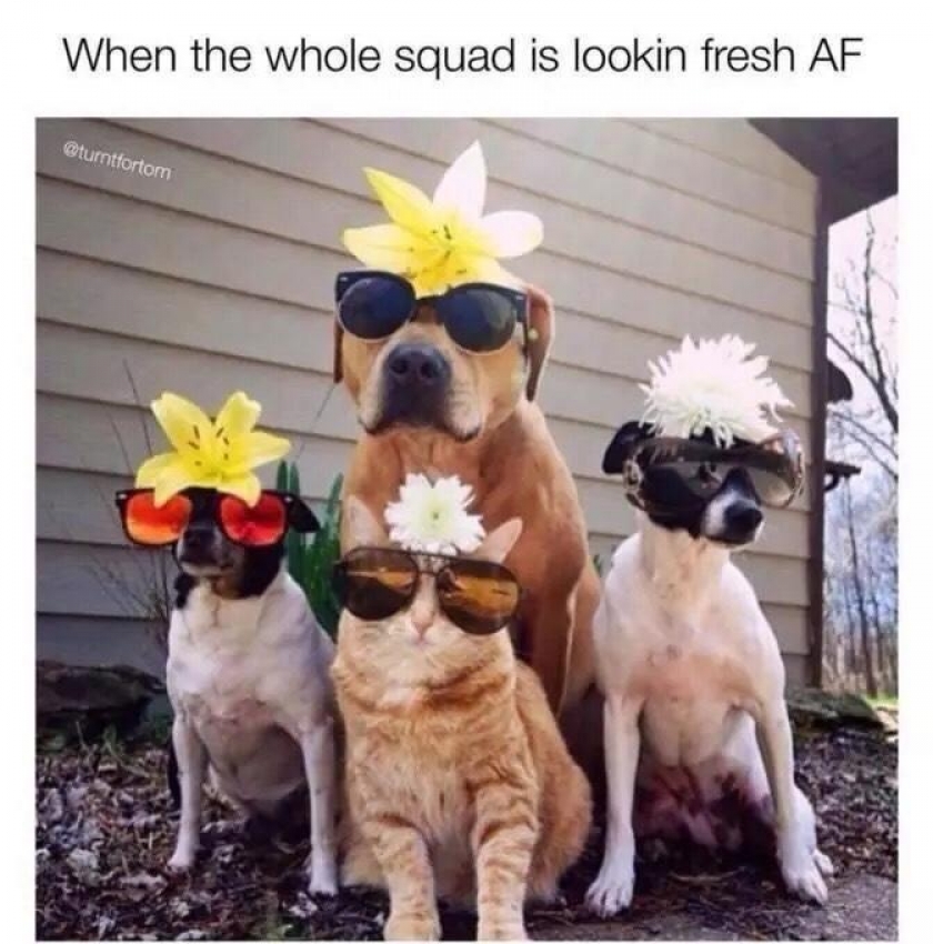 They so fresh we should call them the febreeze brothers