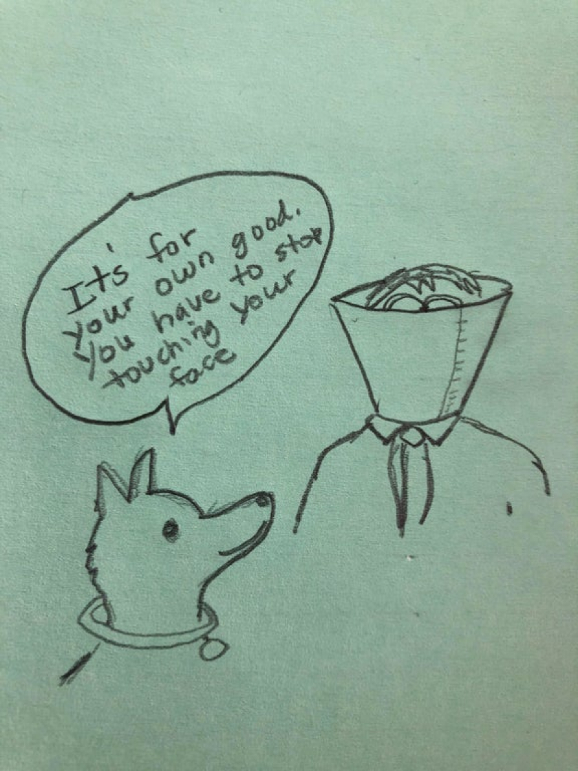 Cone of Shame