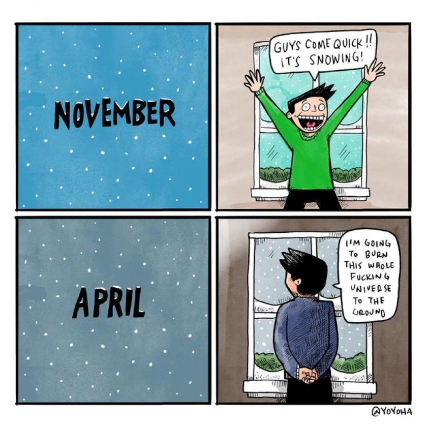 every damn year