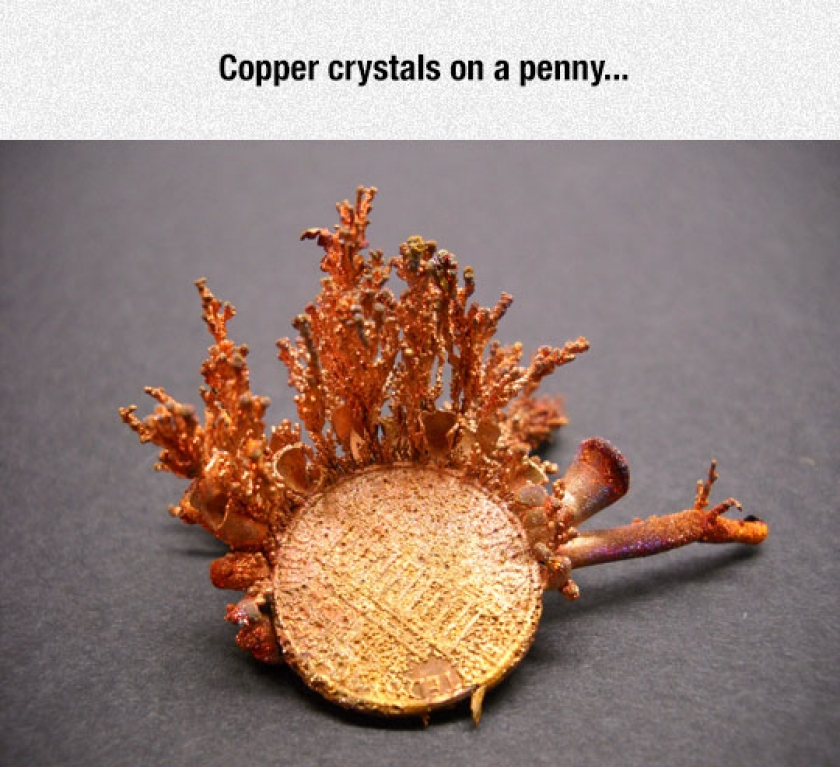 The Last Of Pennies