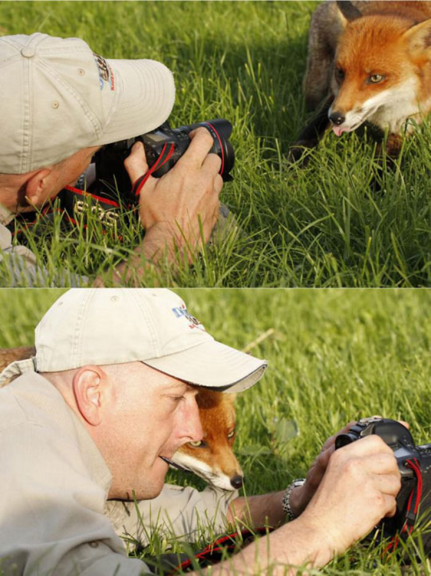 Let Me See, Human