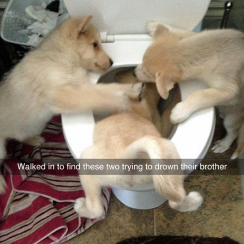 Being The Little Brother In The Family