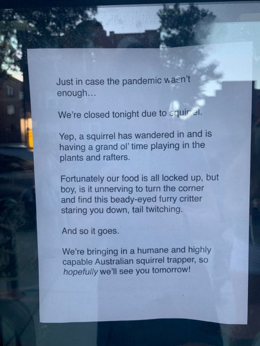 Due to squirrel.