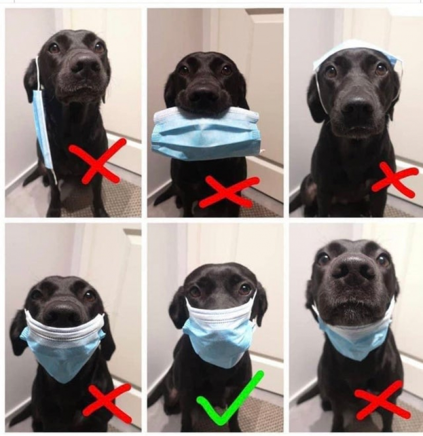 How To Wear A Mask