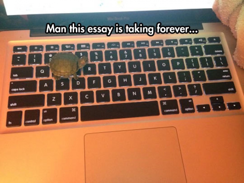 Taking Forever