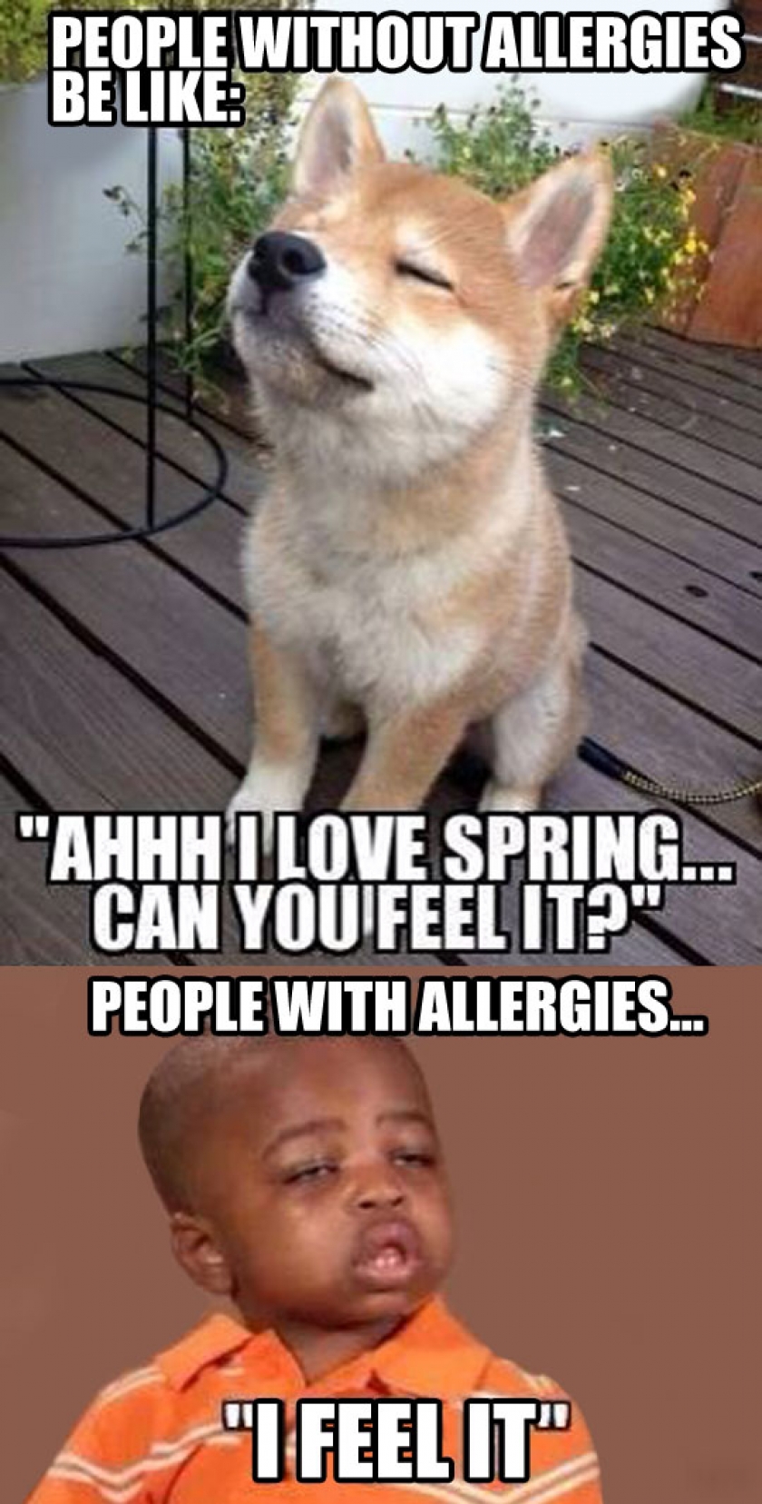 Spring Struggle