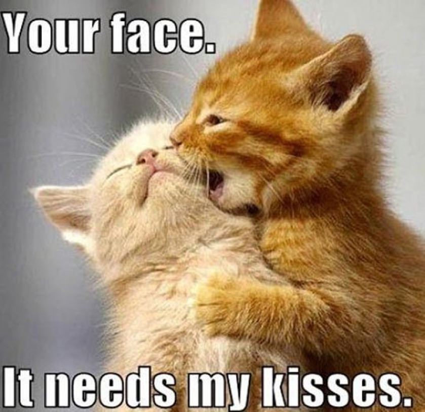 Kiss The Fluffiness