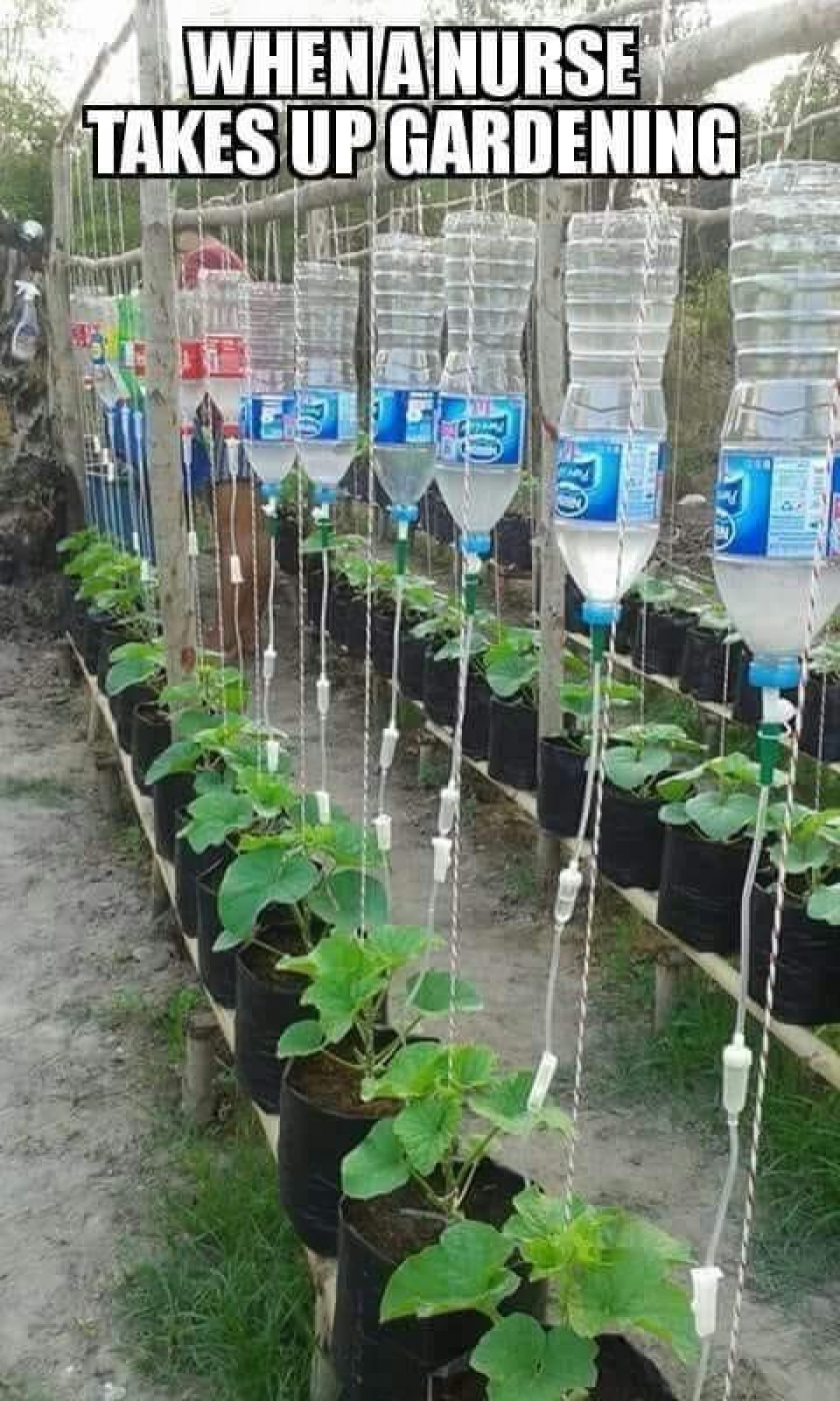 Garden in hospital