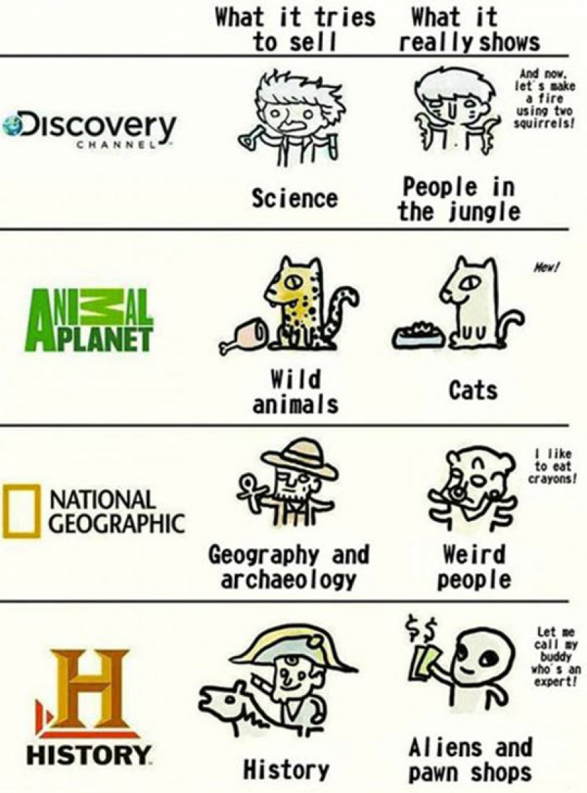 The Educational Channels These Days