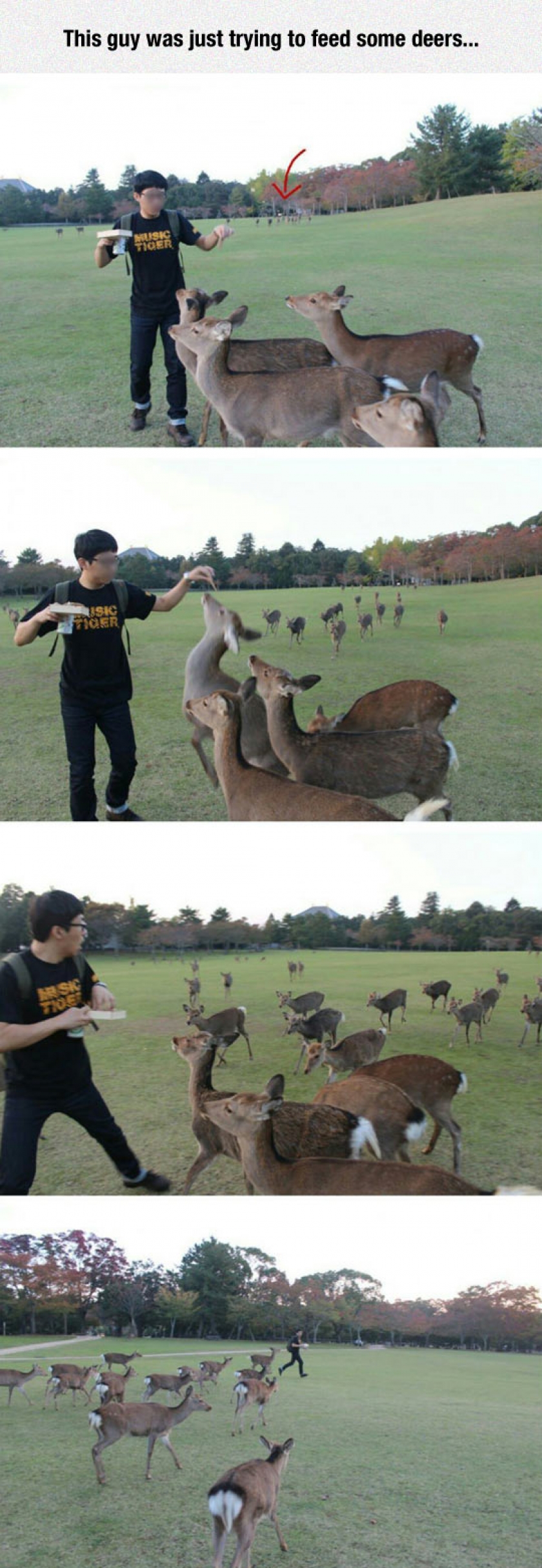 Perhaps He’s A Disney Princess