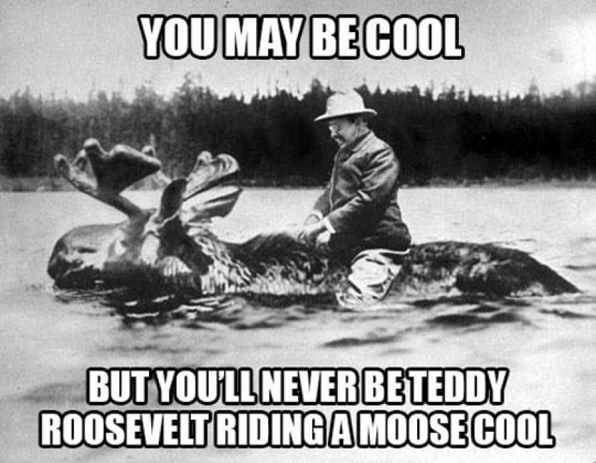 So You Think You’re Cool