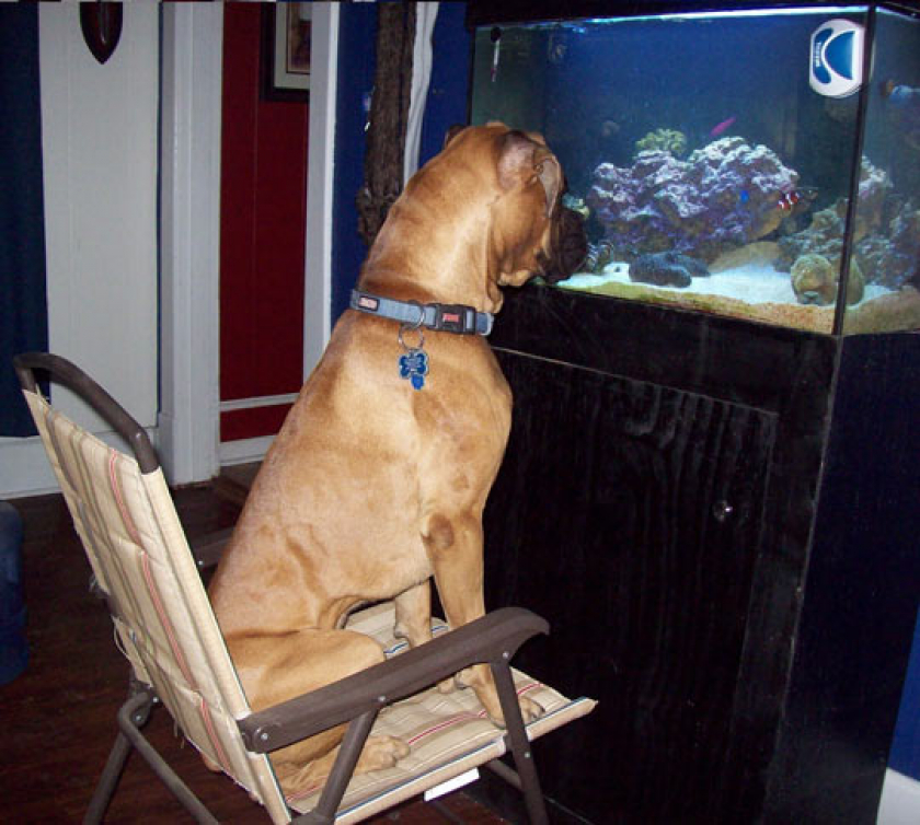His Favorite Show
