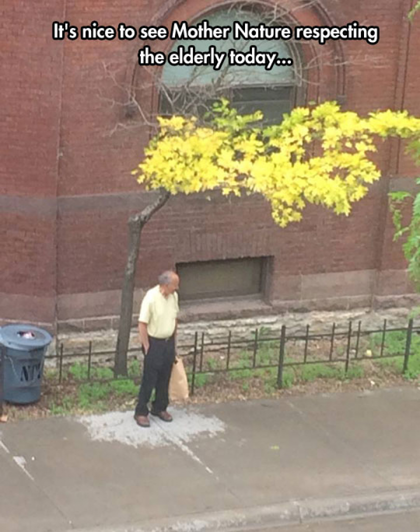 Mother Nature Being Respectful