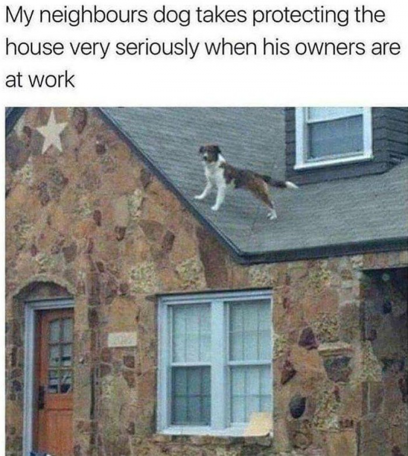 Protecting The High Ground