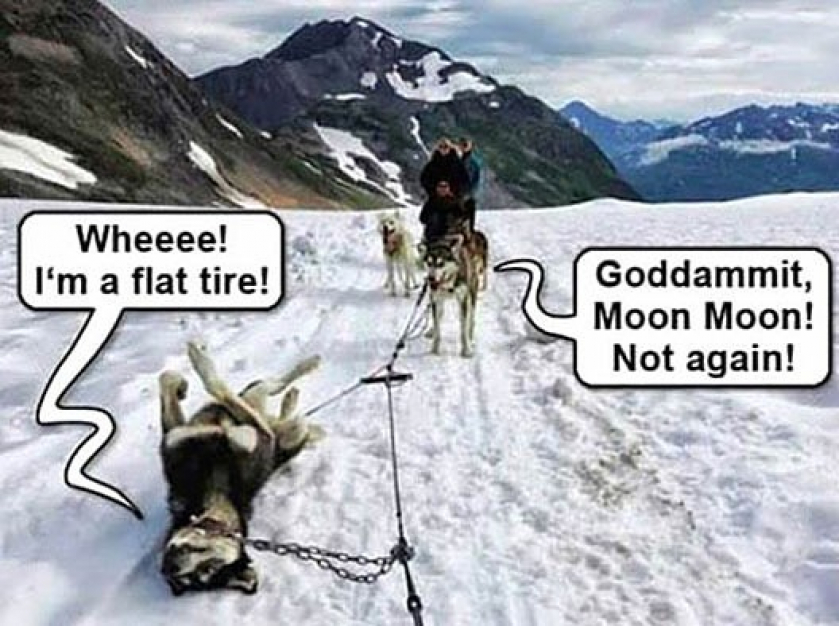 Oh, Moon Moon, Not Again