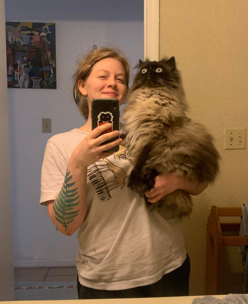 I just can't with Noodle's face