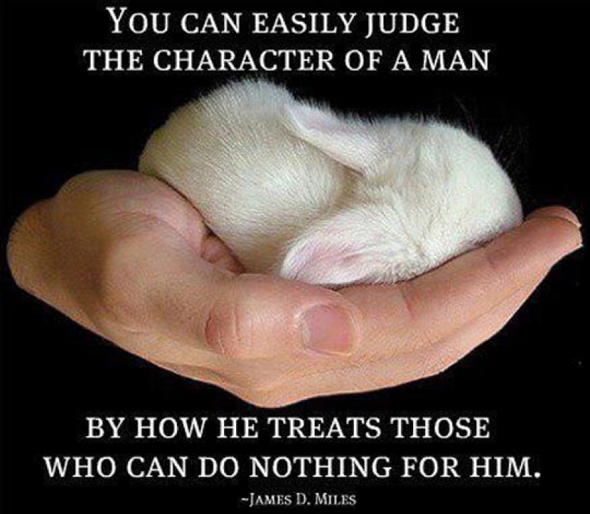 The Character Of A Man
