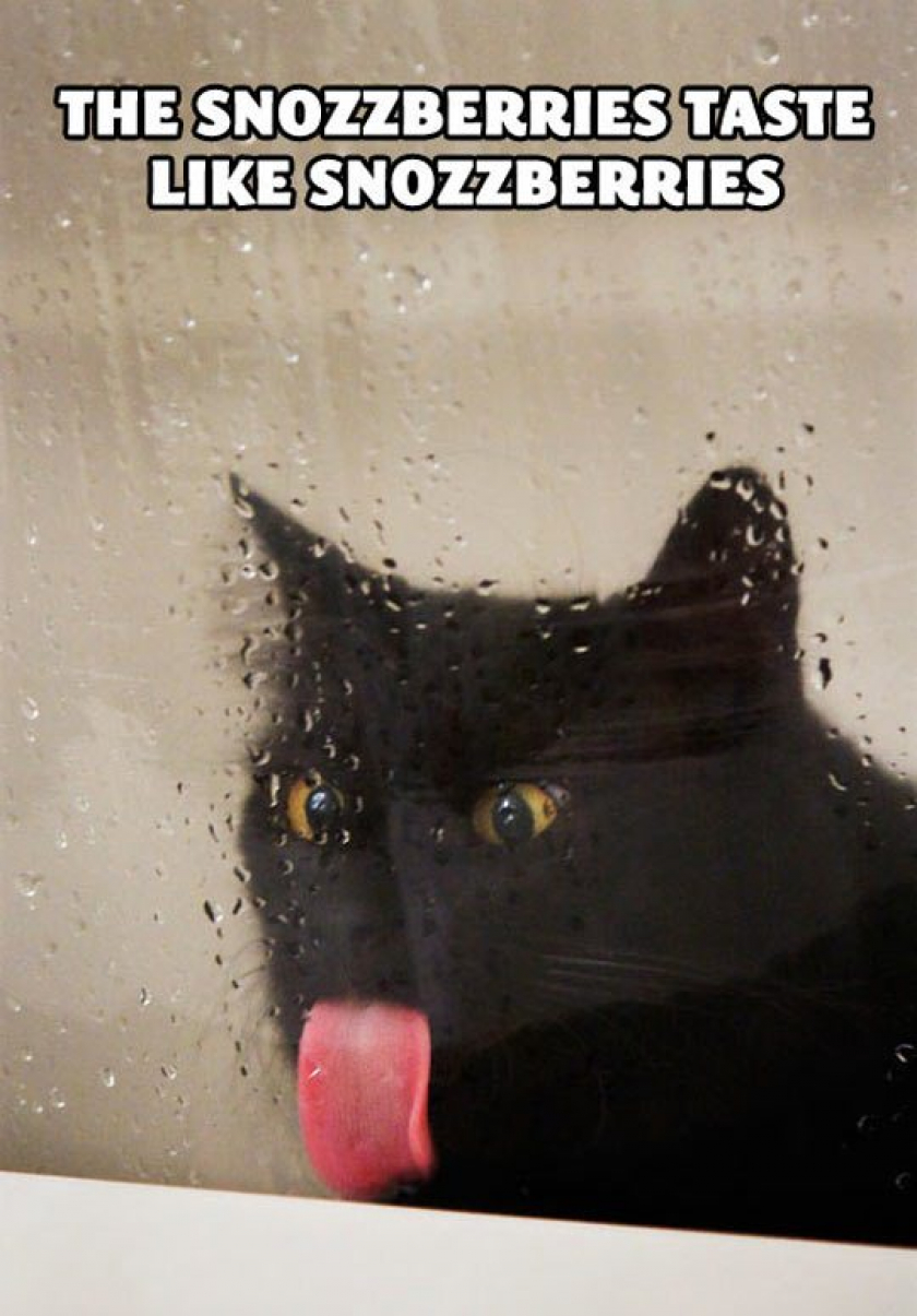 Such Tasty Snozzberries
