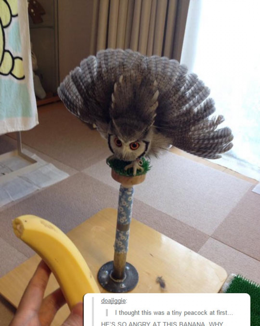 Evil Banana
