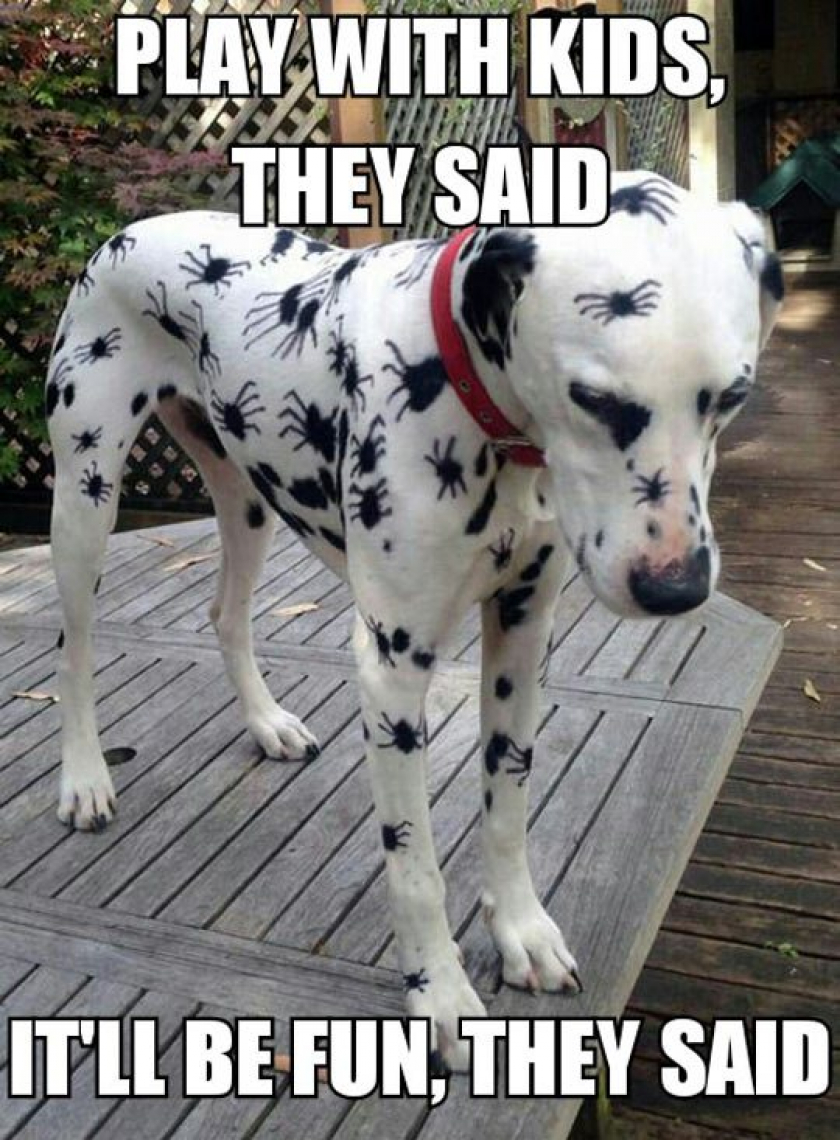 What Has 444 Legs And Is Bummed Out About It?