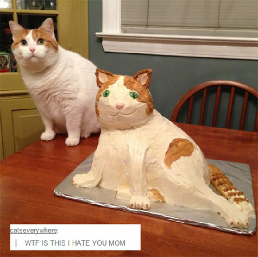 Mom, What Is This?