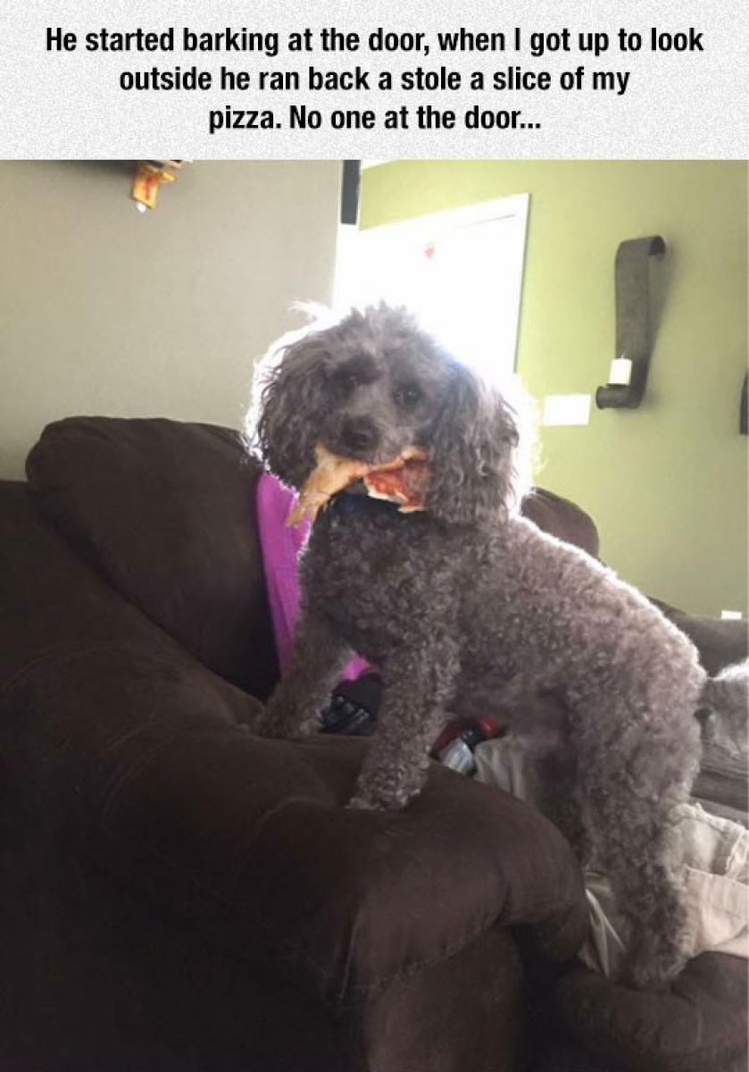 He’s A Master Thief