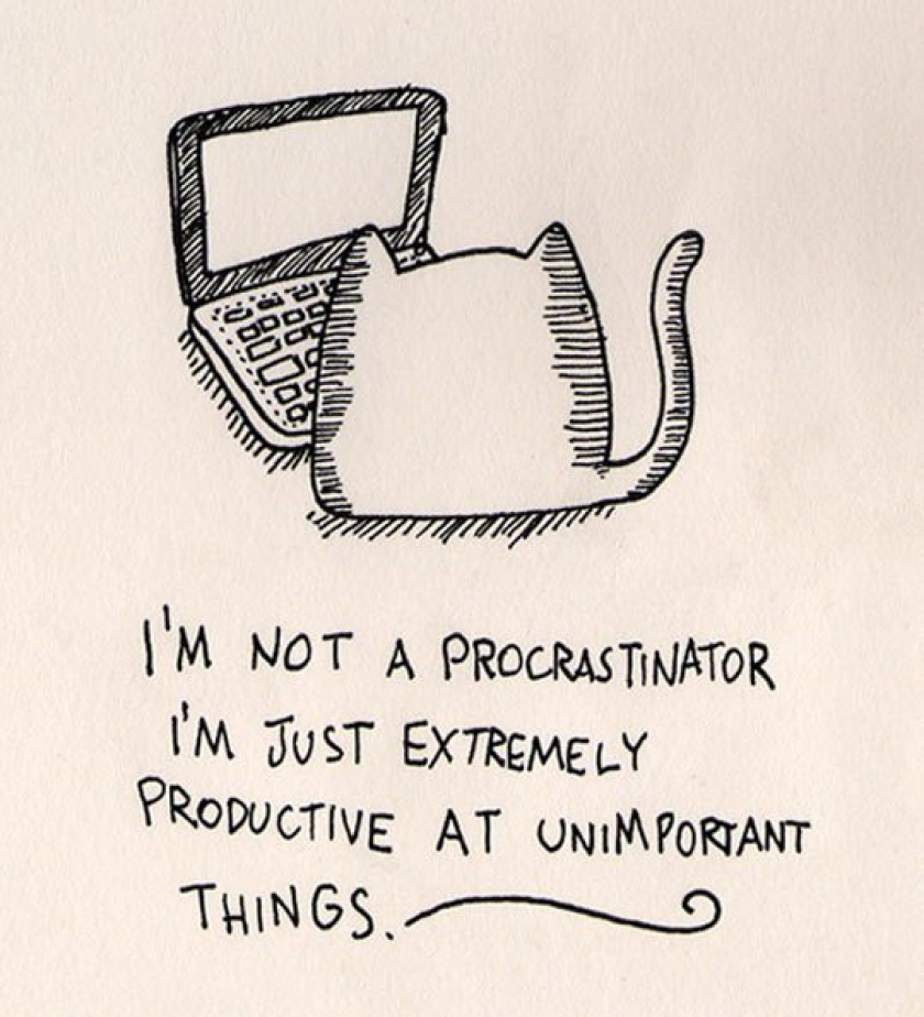 Not A Procrastinator