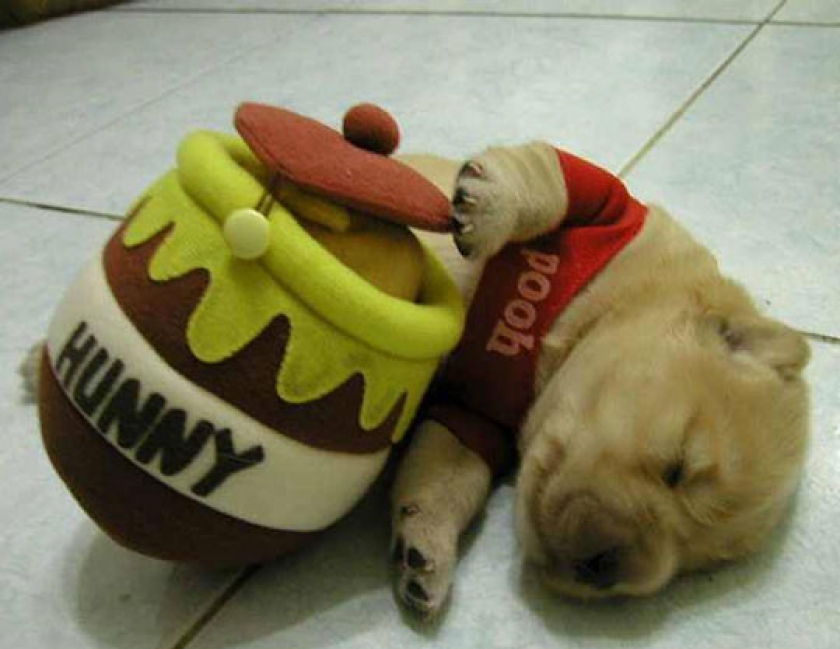 Pooh Is Sleepy