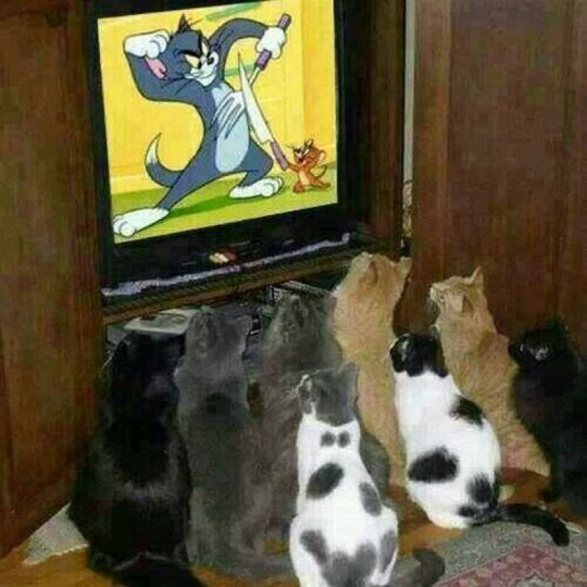 They Are Hooked