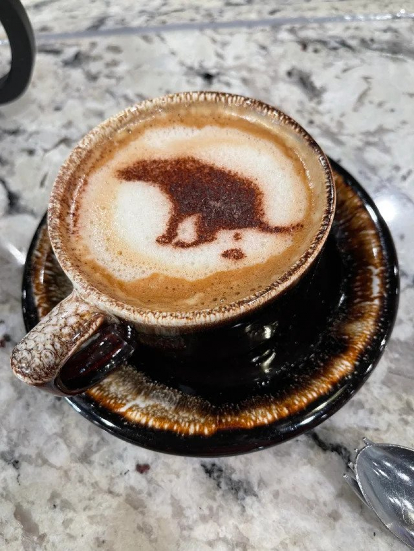 Barista asked if she could make me a “surprise coffee, free of charge” and comes back with this