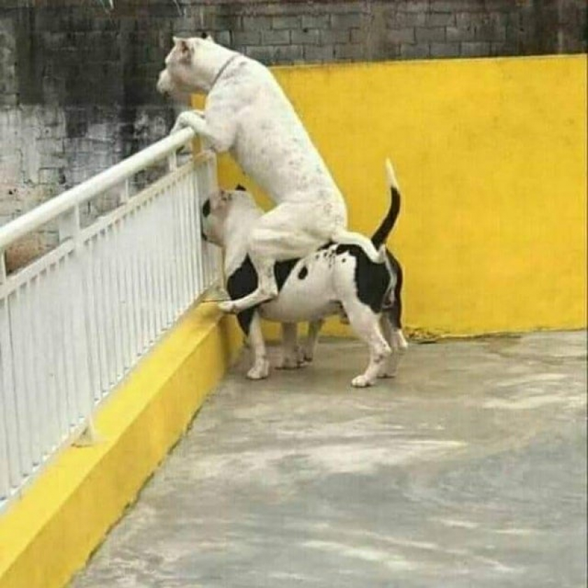 tell me what u're seeing bro