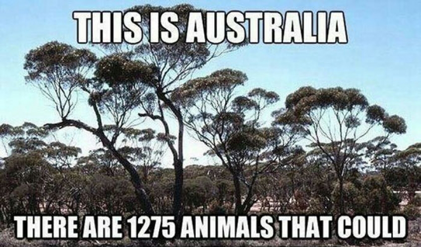 Welcome To Straya