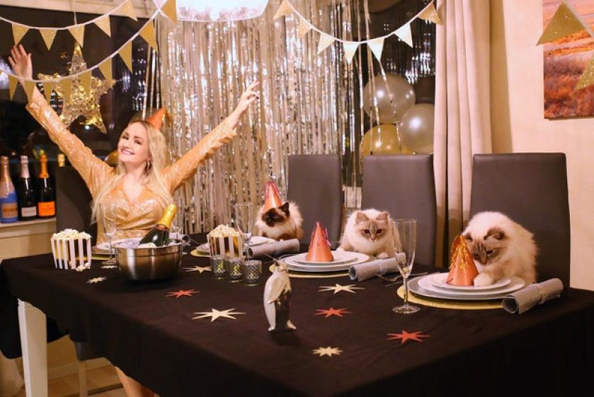 My CATastrophic New Year's party
