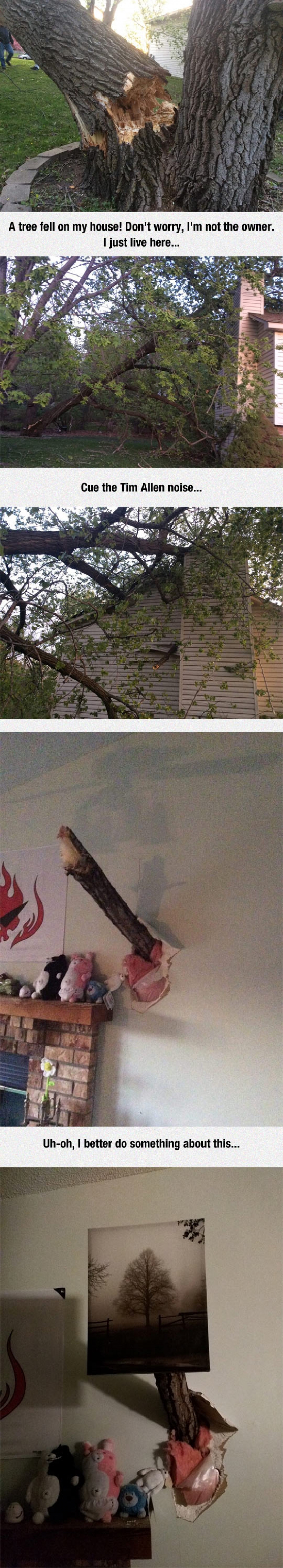 Now You Have A Tree-House