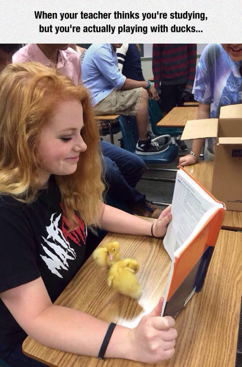 The Perfect Distraction In Class
