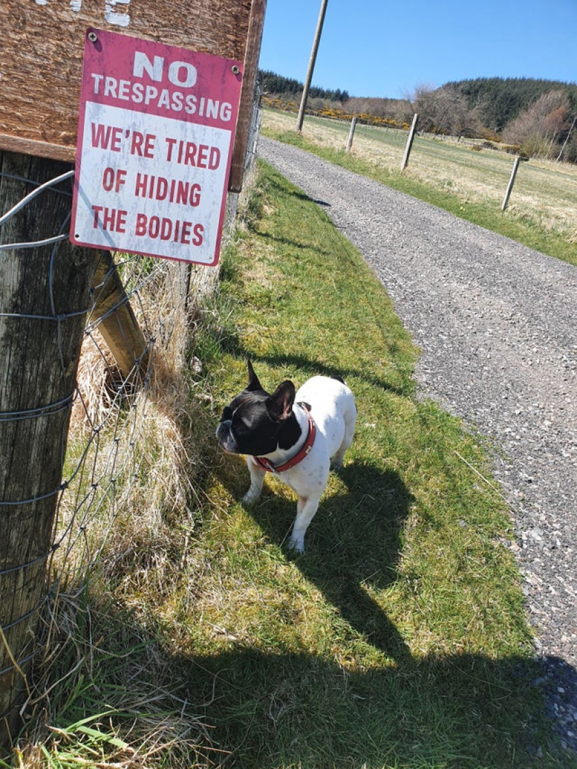 Scottish Farm