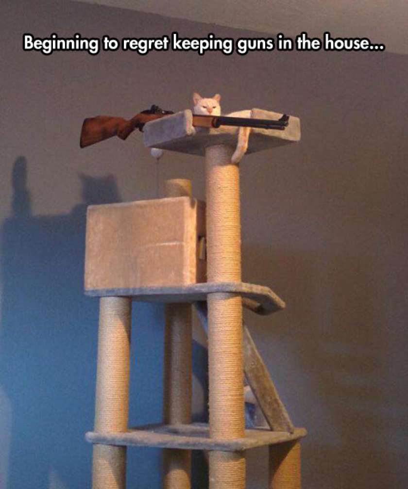 He Got Tired Of The Red Dot