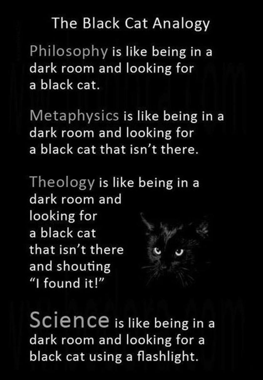 Black Cat Analogy