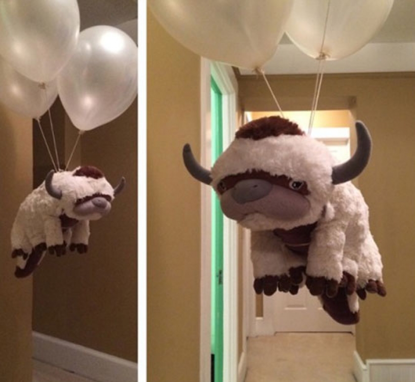 Sky Bison Is Best Bison