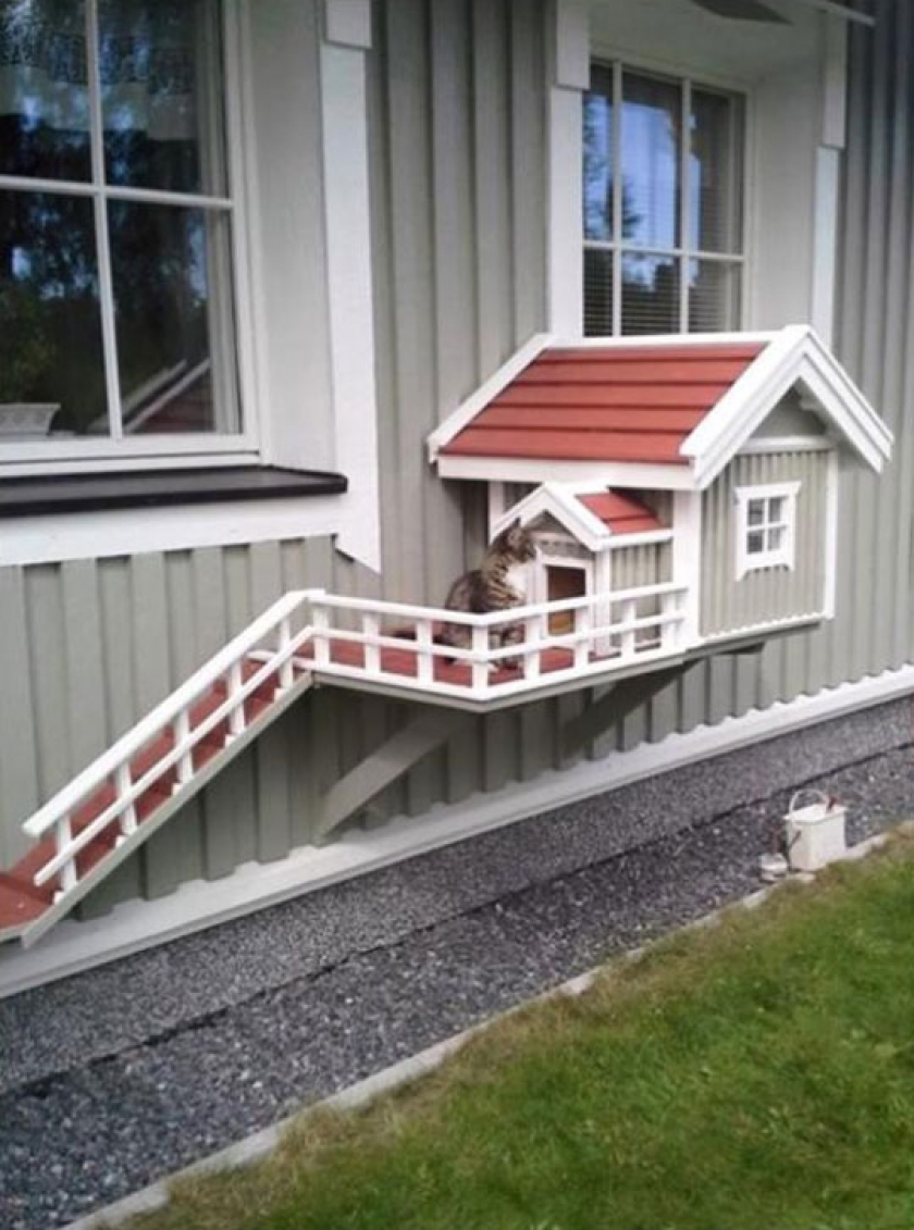 House Extension