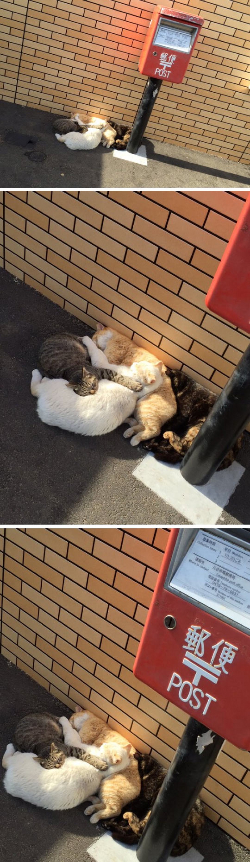 Play Hard. Nap Hard.