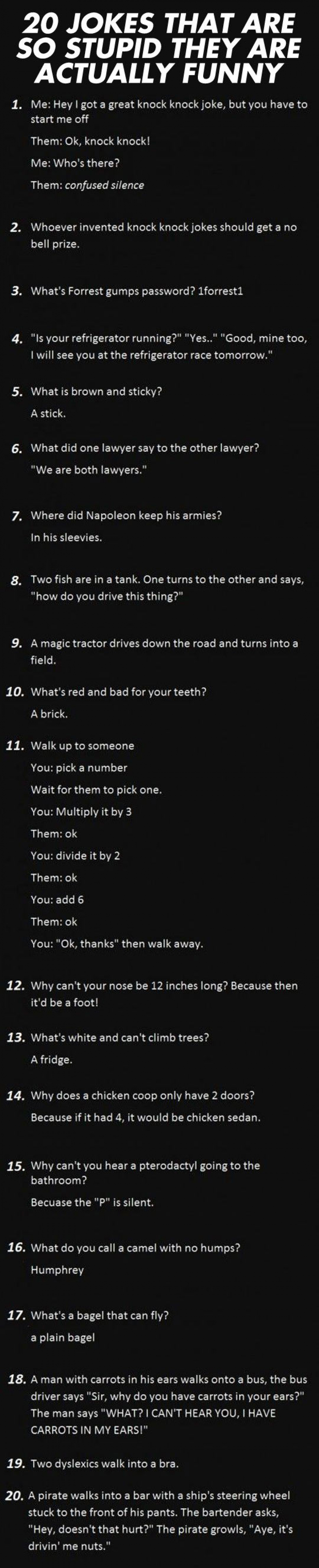 Jokes So Dumb, They Are Actually Funny
