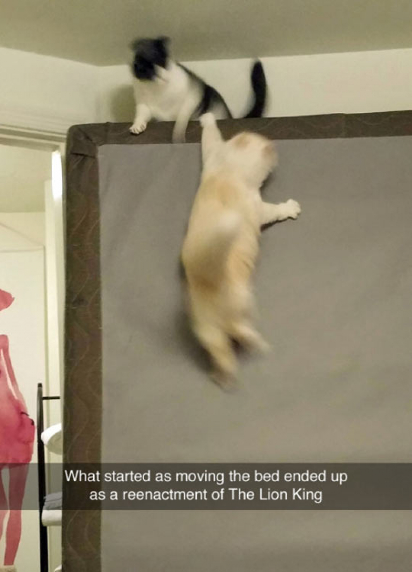 Lion King Reenactment