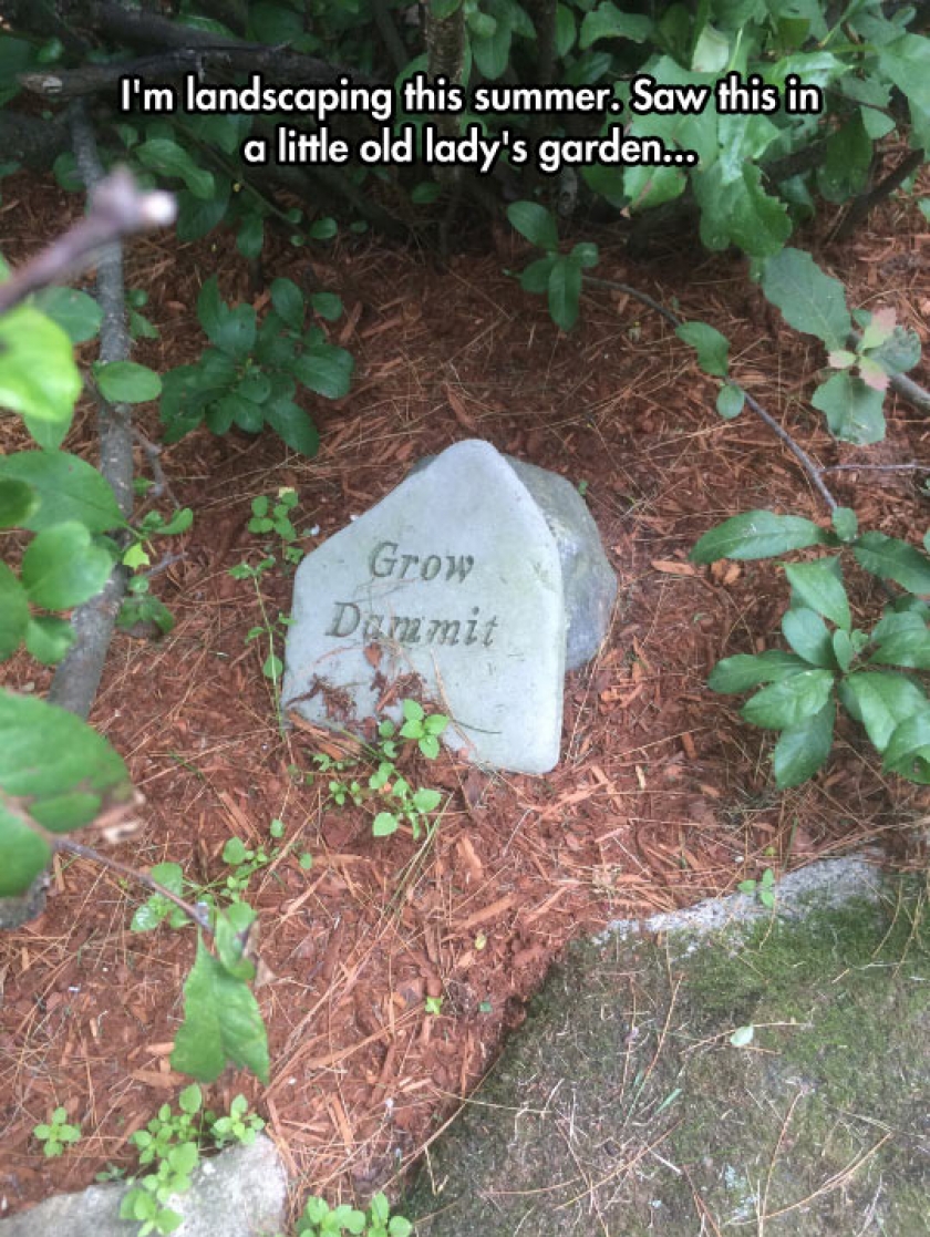 But… Rocks Don’t Grow