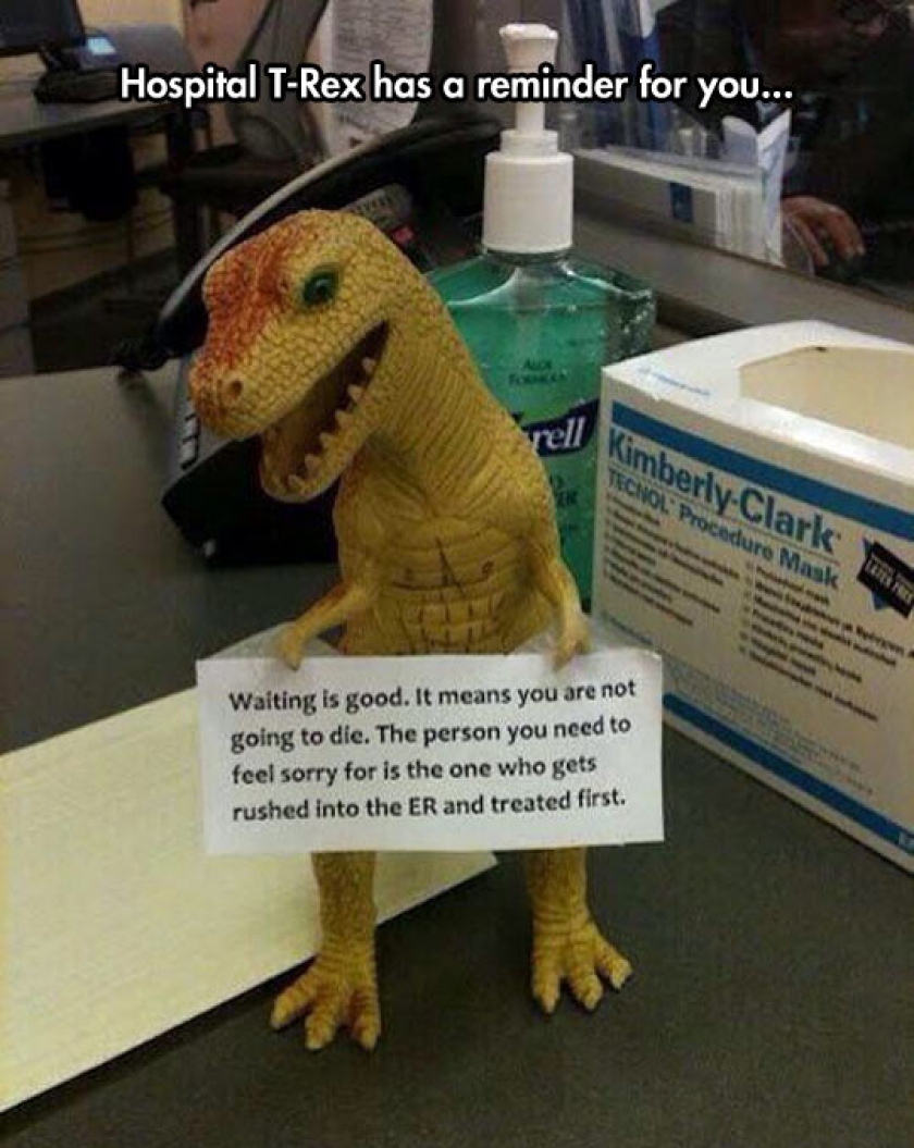 Hospital T-Rex